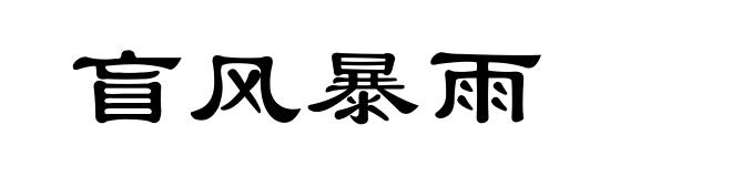 盲风暴雨