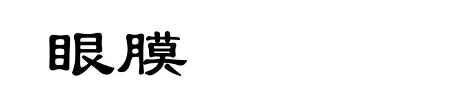 眼膜