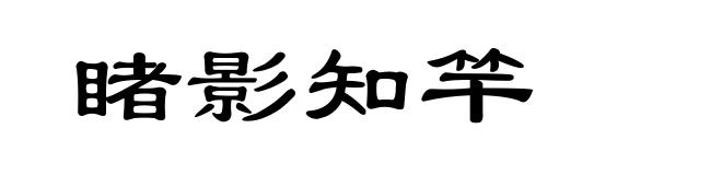 睹影知竿
