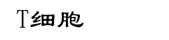 T细胞