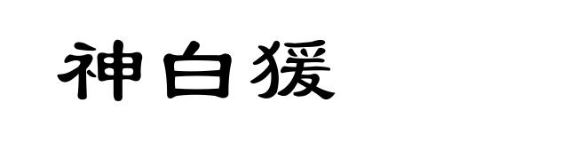 神白猨