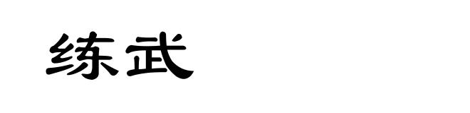 练武