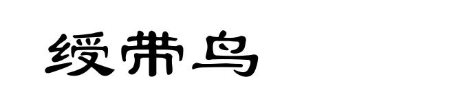 绶带鸟