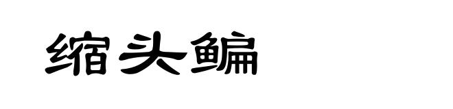 缩头鳊