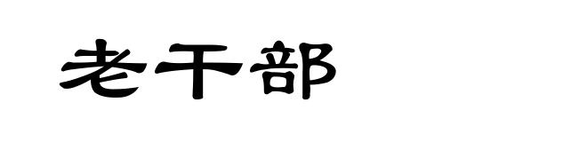 老干部