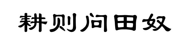 耕则问田奴