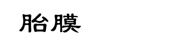 胎膜
