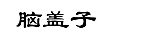 脑盖子