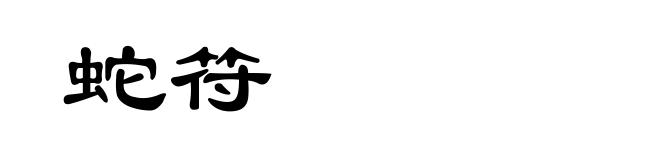 蛇符