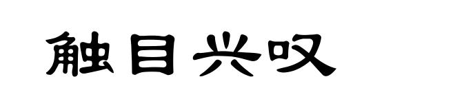 触目兴叹