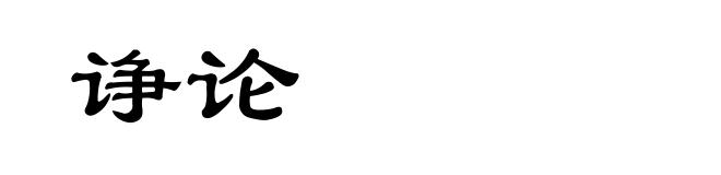 诤论
