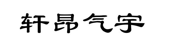 轩昂气宇