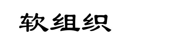 软组织