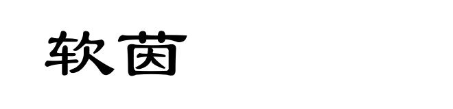 软茵