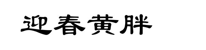 迎春黄胖