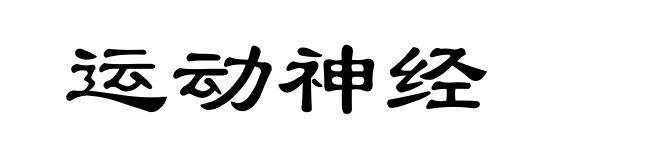 运动神经