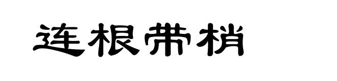 连根带梢