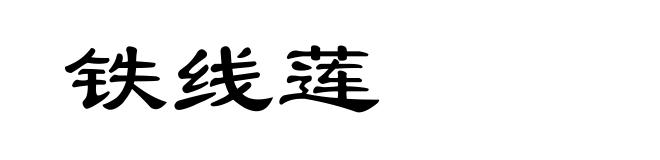 铁线莲