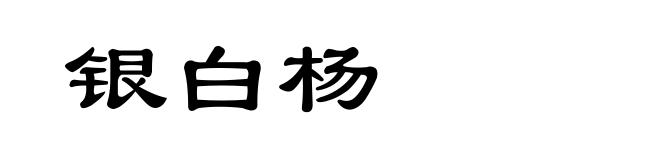 银白杨