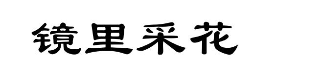 镜里采花