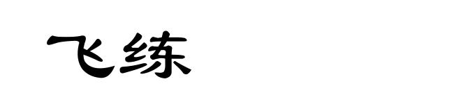 飞练
