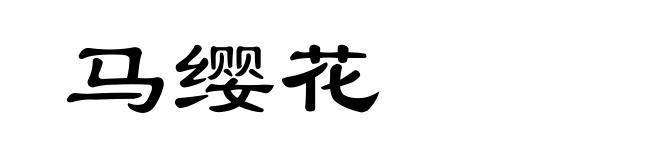 马缨花