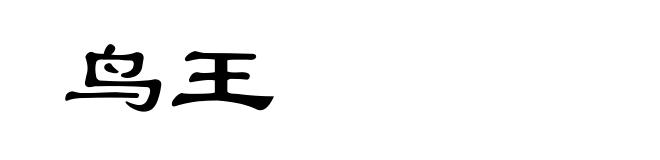 鸟王