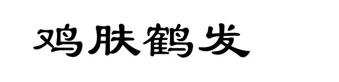 鸡肤鹤发