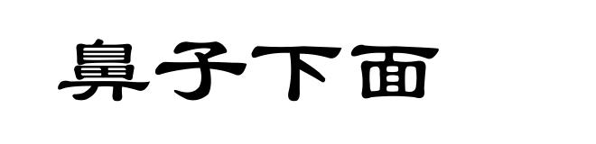鼻子下面
