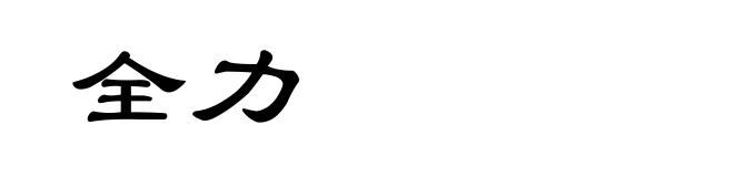全力