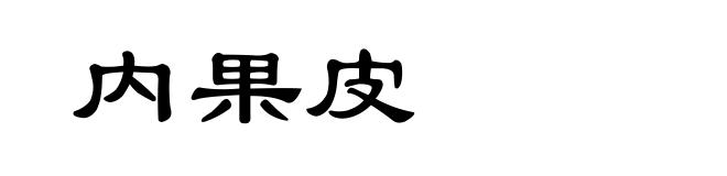 内果皮