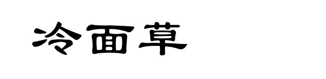 冷面草