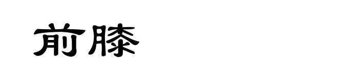 前膝