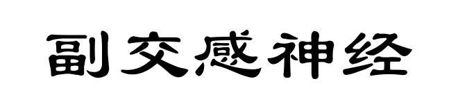 副交感神经