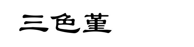 三色堇