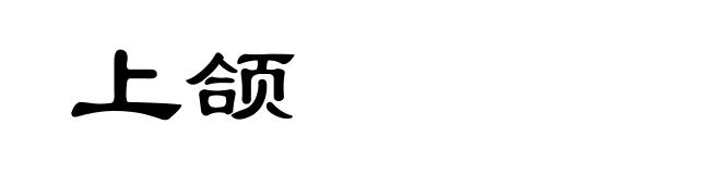 上颌