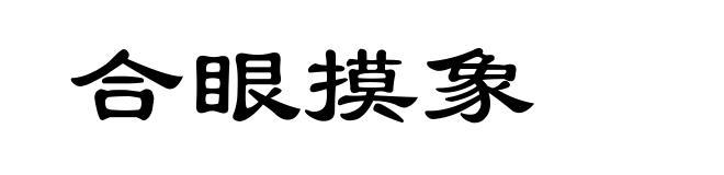 合眼摸象