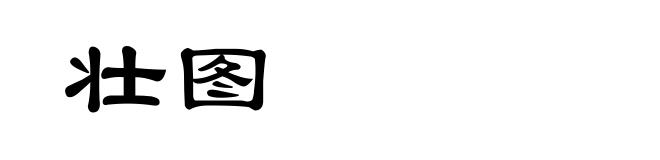 壮图