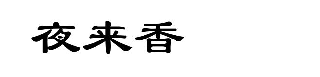夜来香