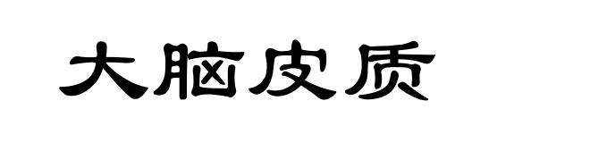 大脑皮质