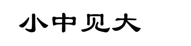 小中见大