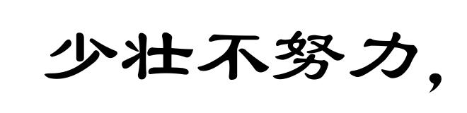 少壮不努力，老大徒伤悲