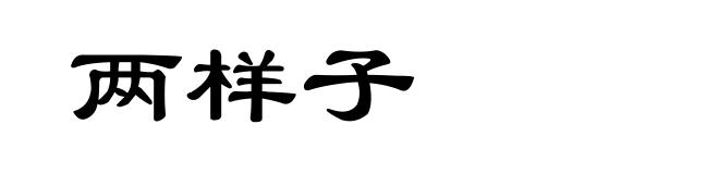 两样子