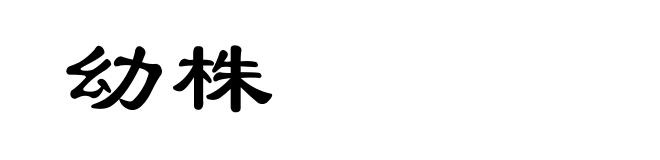 幼株