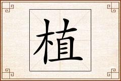 植怎么写