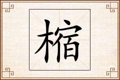 樎怎么写