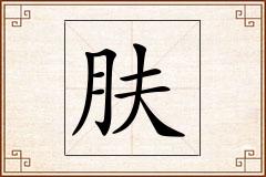 肤怎么写