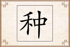 种怎么写