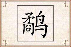 鹬怎么写