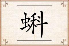 蝌怎么写